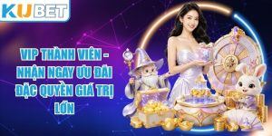 VIP Thành Viên